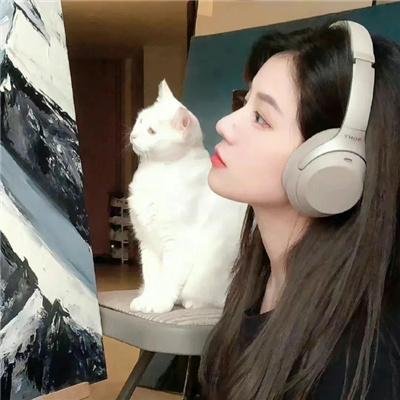 逆光教师